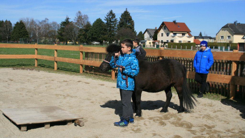 Neubauers Stadtstall: Bauernhof zum Lernen und Anfassen