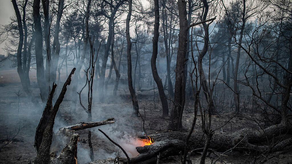 Feuer auf griechischer Insel