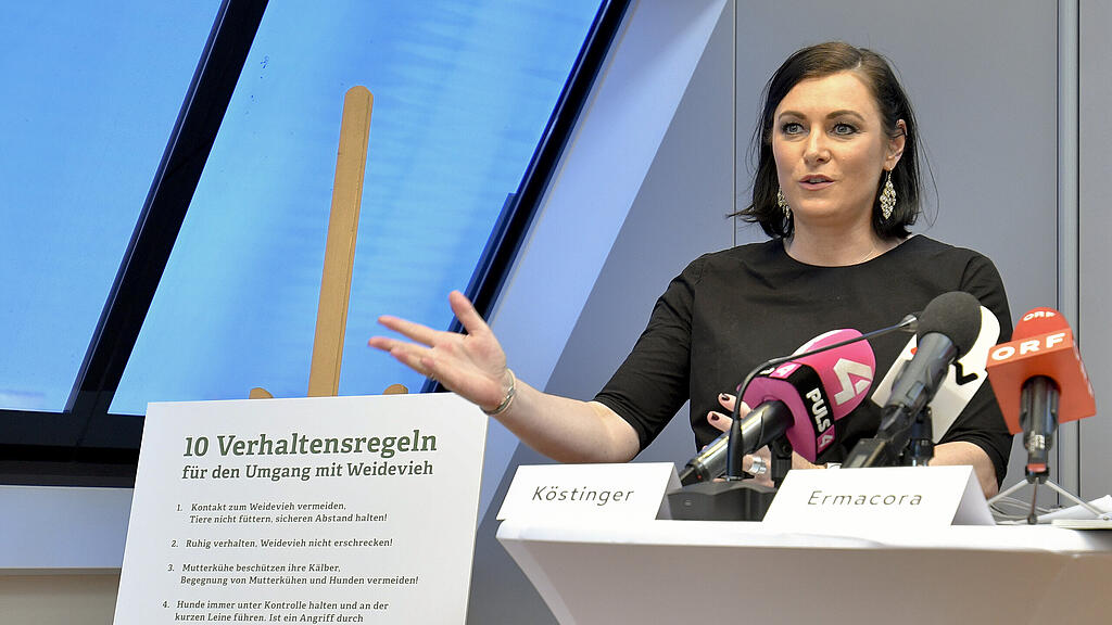 PRÄSENTATION DES AKTIONSPLANS SICHERE ALMEN KÖSTINGER =.jpg