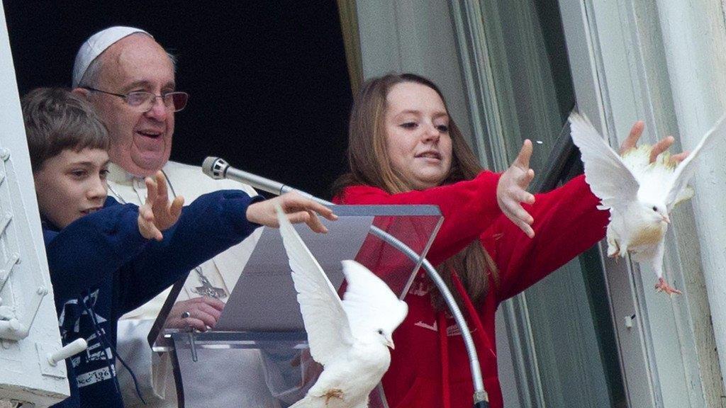 Vögel attackieren Friedenstauben