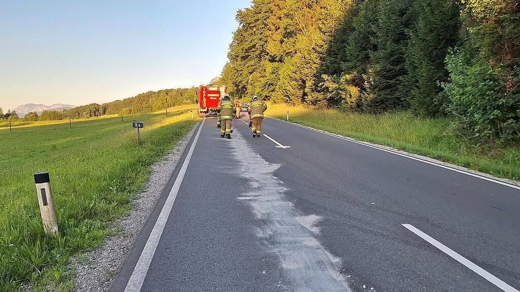 Motorradfahrer kollidiert in Thalgau mit Reh: Tier verendet, Ölspur auf Fuschler Straße