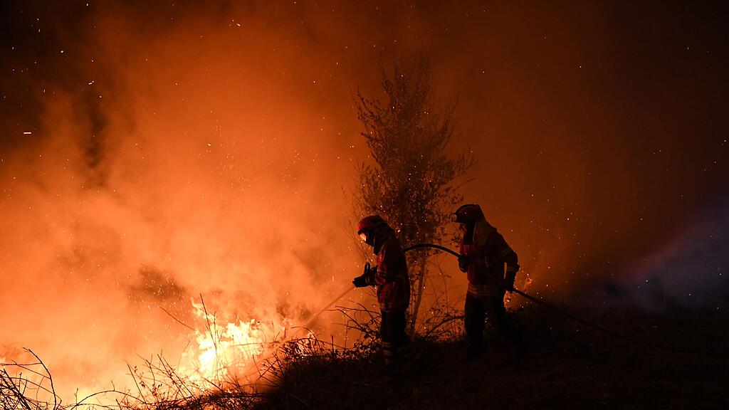 Auch in diesem Jahr wüteten in Portugal wieder schwere Waldbrände.