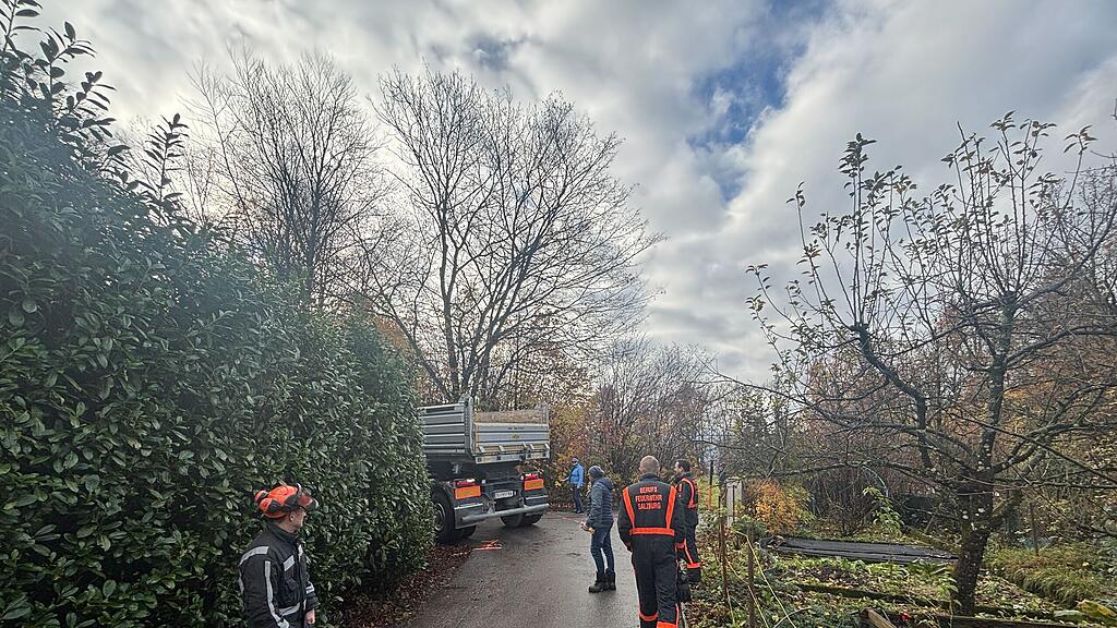 Christbaumernte in St. Jakob am Thurn