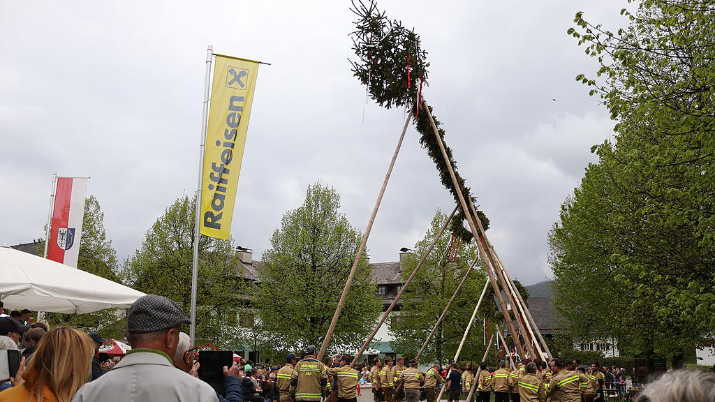 Maibaumaufstellen in Anif