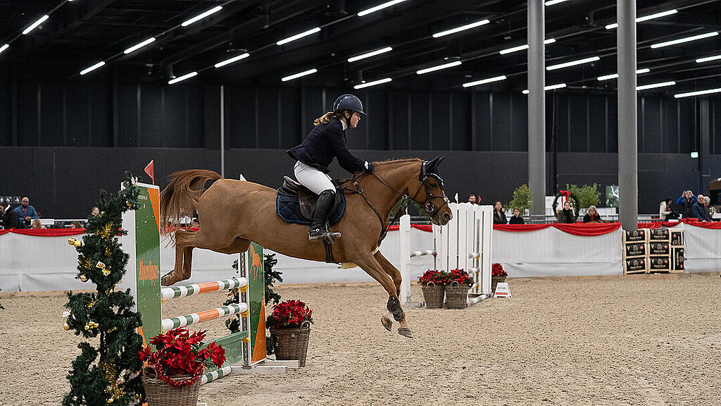 Amadeus Horse Indoors 2023
