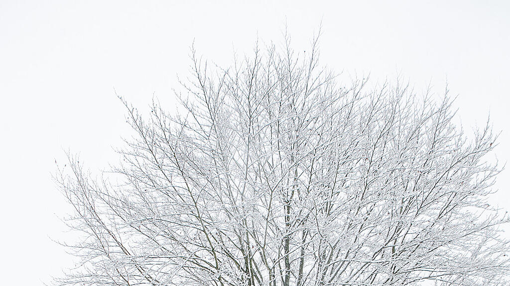 Schnee am Haunsberg