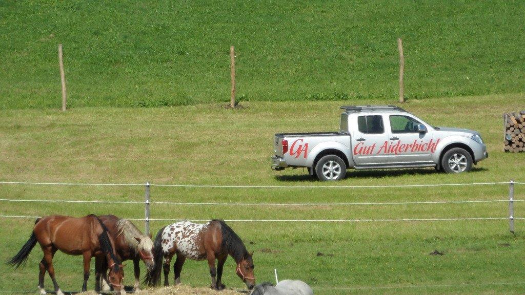 Weitere Tierbilder
