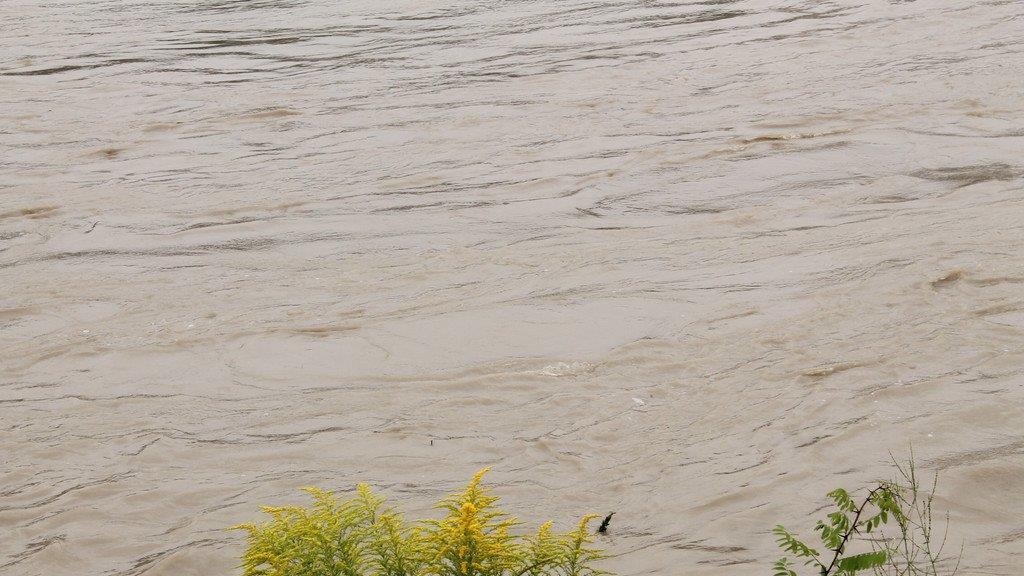 Hochwasser in Oberndorf