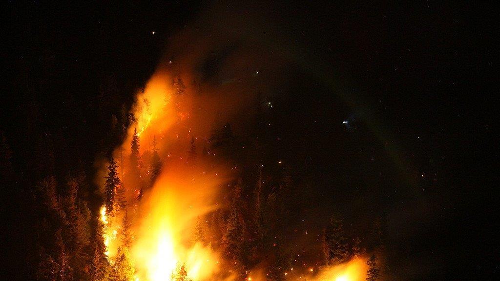 Waldbrand am Thumsee, III