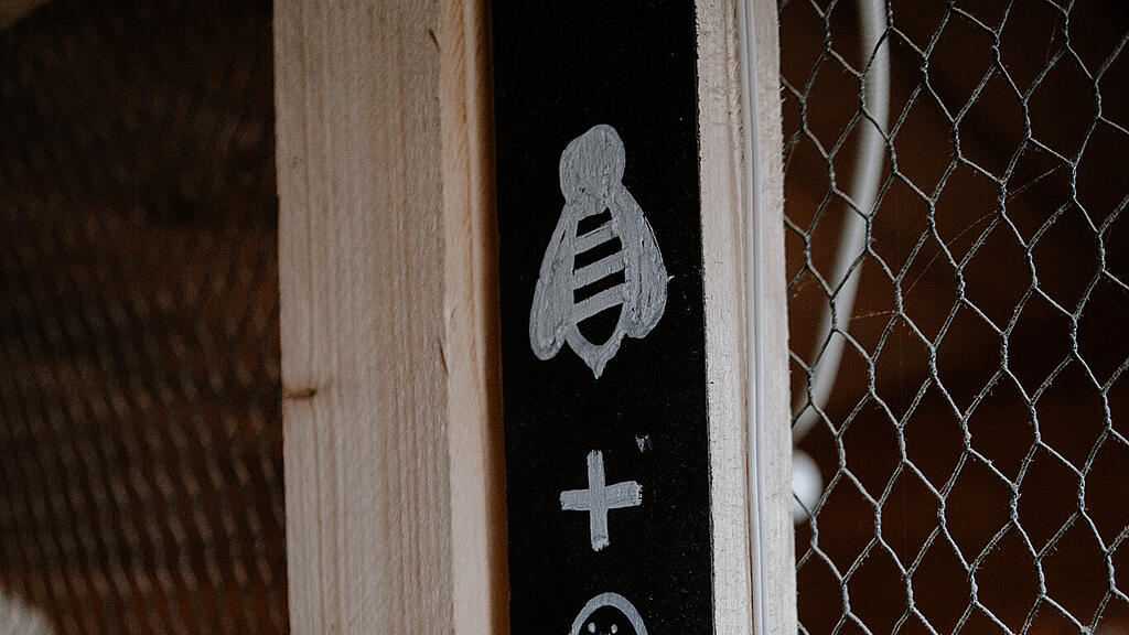 Bauarbeiten Bienenlieb