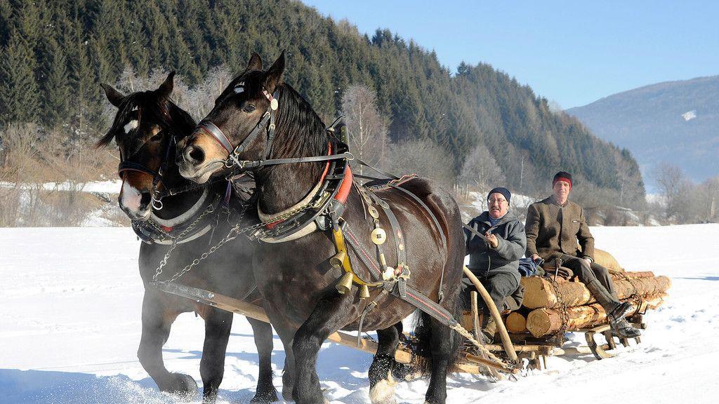 Historische Pferdegespanne im Lungau