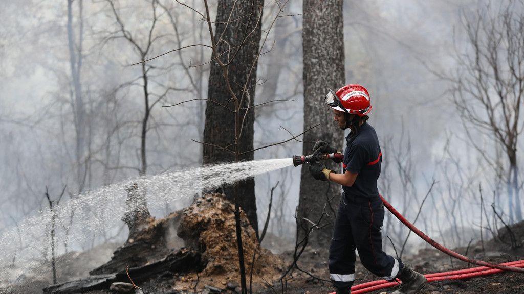 Feuer in Südfrankreich