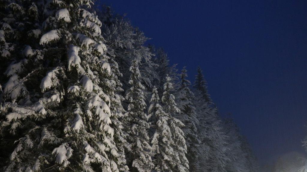 Wintereinbruch in der Mozartstadt