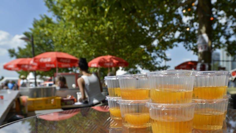 Donauinselfest 2014: Erste Besucher am Freitag