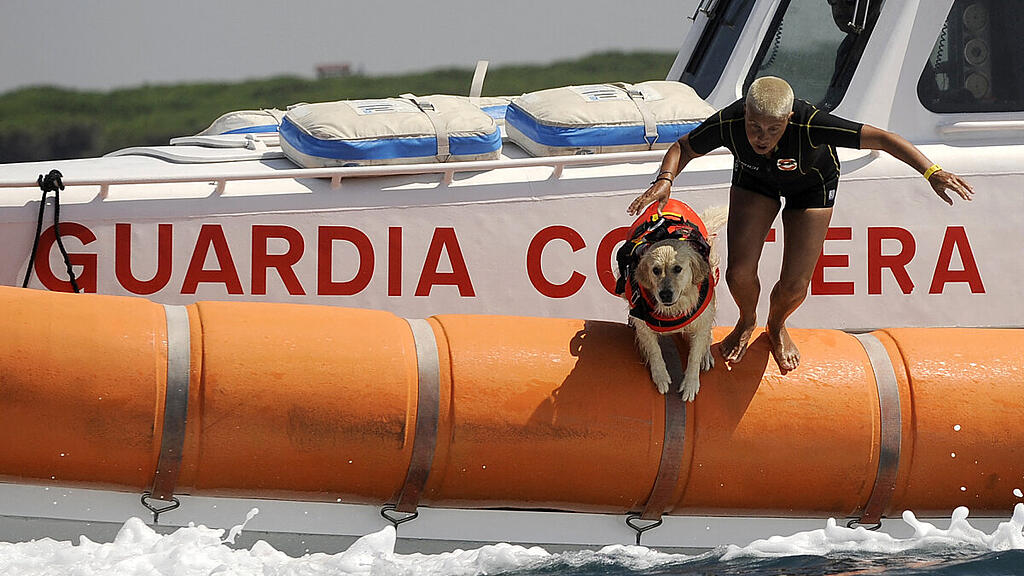 Seit 1994 werden die "Rettungsschwimmer"-Hunde eingesetzt