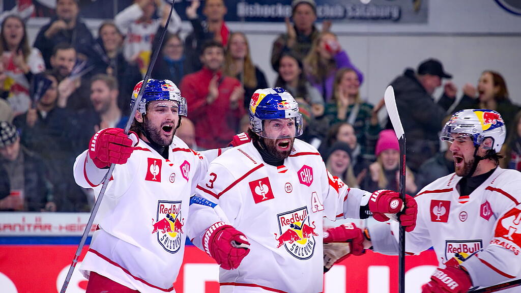 Eisbullen gegen Eisbären Berlin