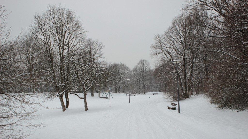 Schneemassen in Bayern