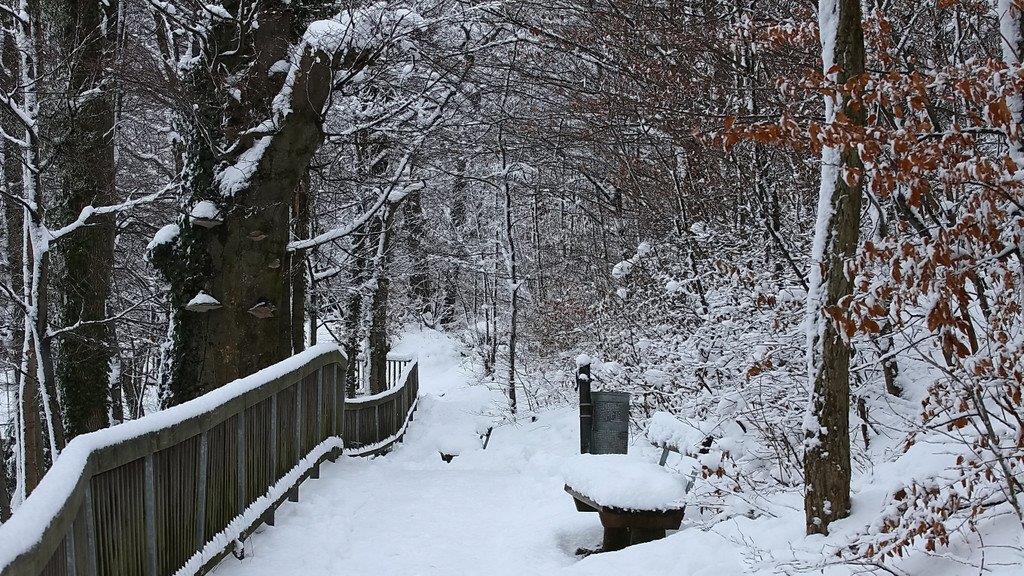 Winterimpressionen aus Salzburg