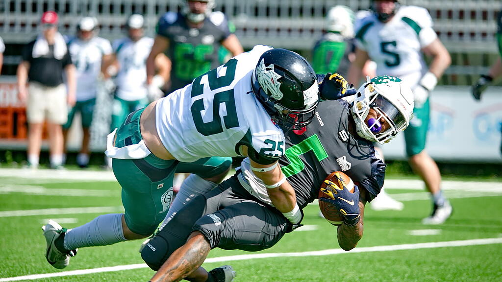 Salzburg Ducks, AFL, Austrian Football League