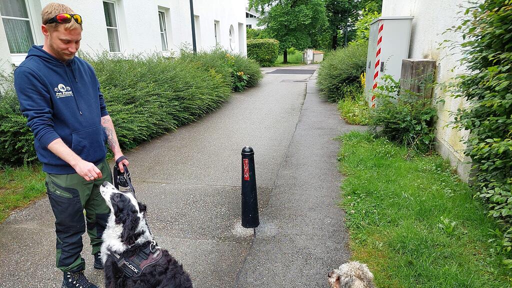 pet patrol