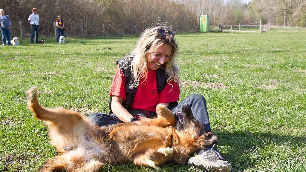 "Der gelbe Hund" in Nußdorf