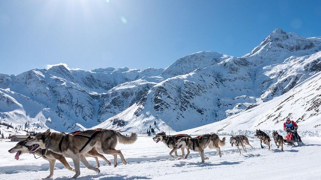Schlittenhunde-WM in Sportgastein, Samstag