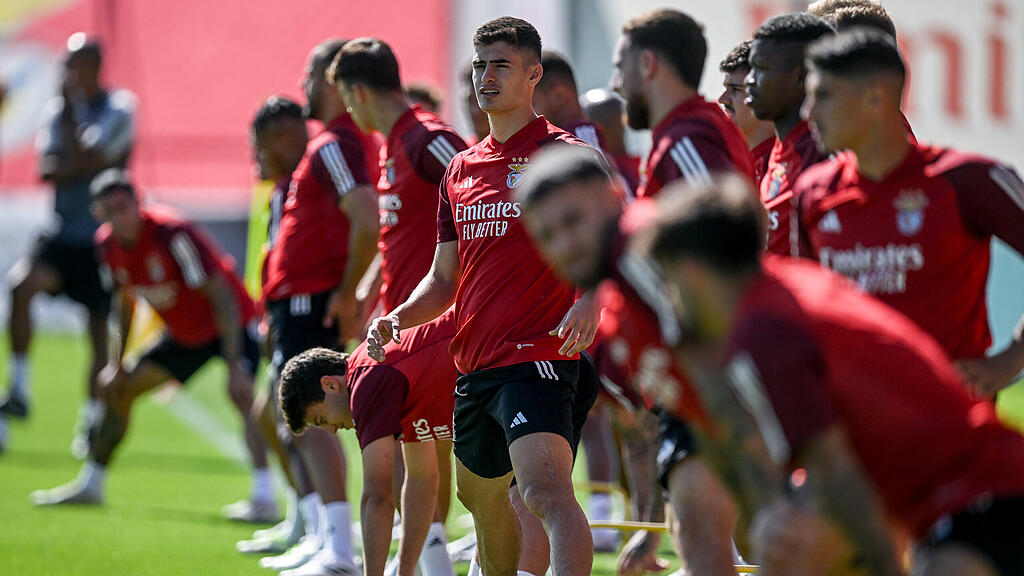 Roger Schmidt, Benfica Lissabon