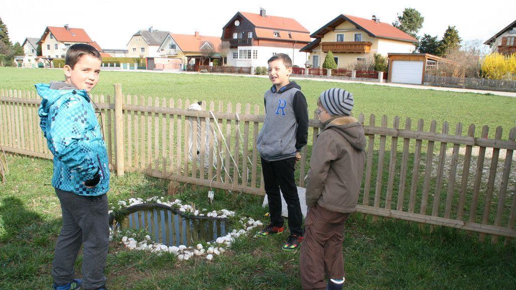 Neubauers Stadtstall: Bauernhof zum Lernen und Anfassen