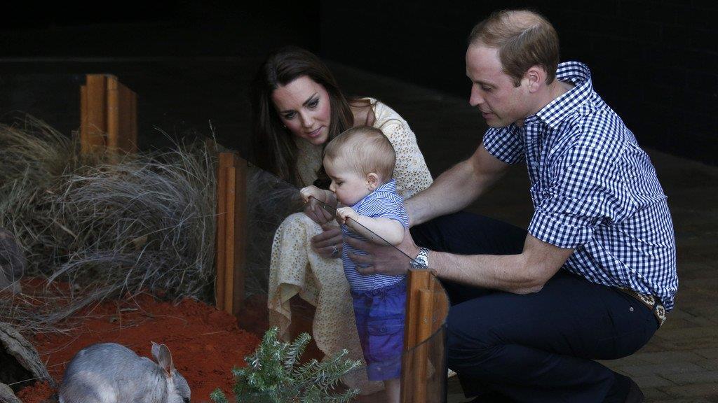 Prinz George und das Bilby: Liebe auf den ersten Blick