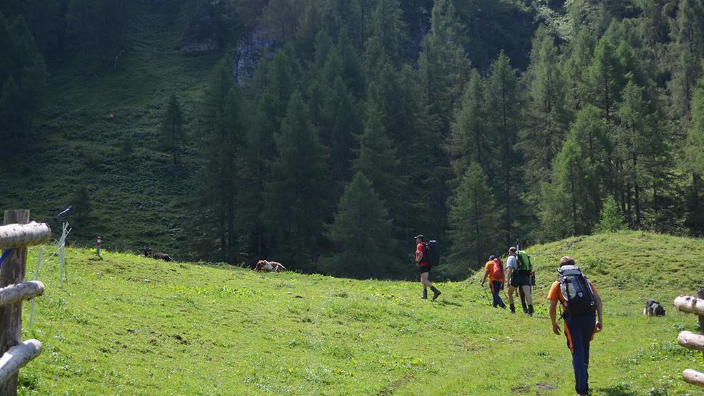 Riesige Suchaktion im Pongau