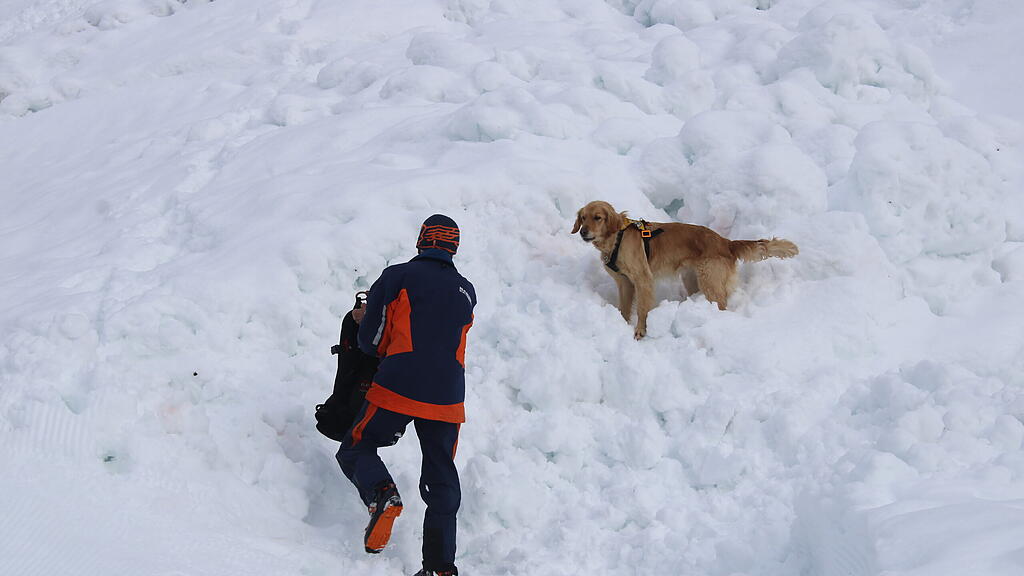 Lawinenhunde Bergrettung Training