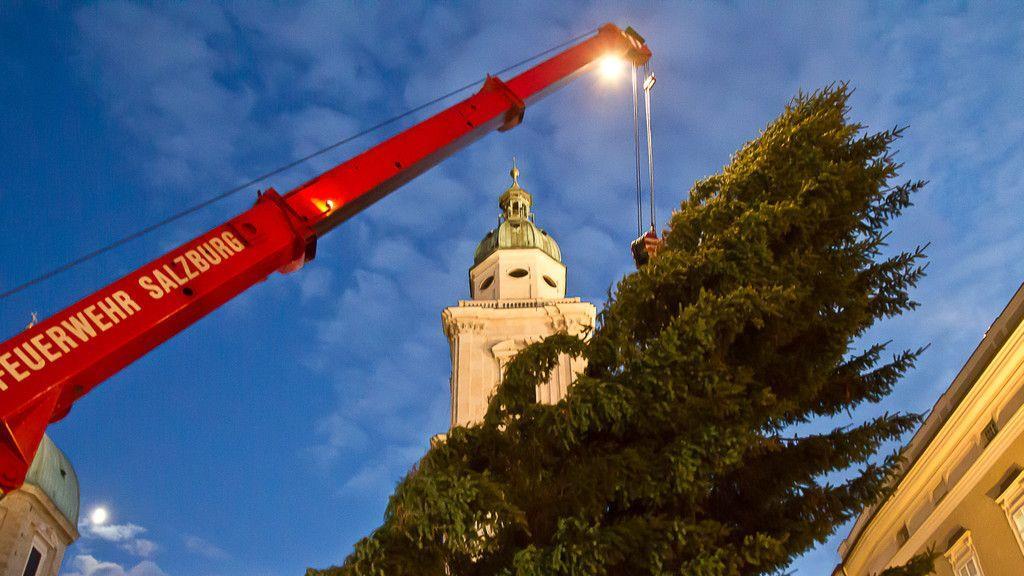 Christbaum ist angekommen