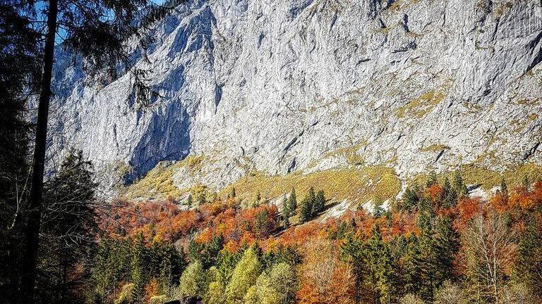 User-Bilder: Herbst in Salzburg