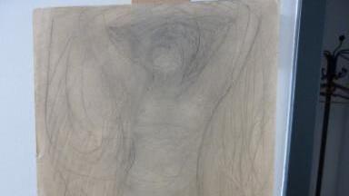 Fall Gurlitt: Die Kunstsammlung