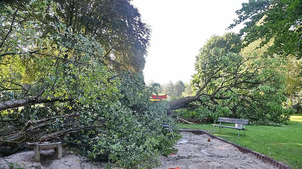 lepi unwetter schäden