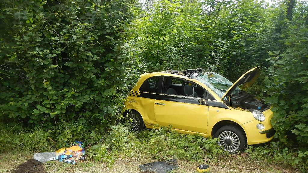 Der Wagen kam im Gebüsch zu stehen.