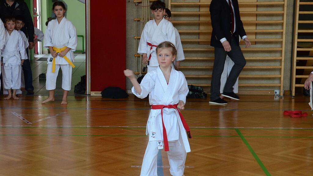 Karate-Landesmeisterschaften in Henndorf