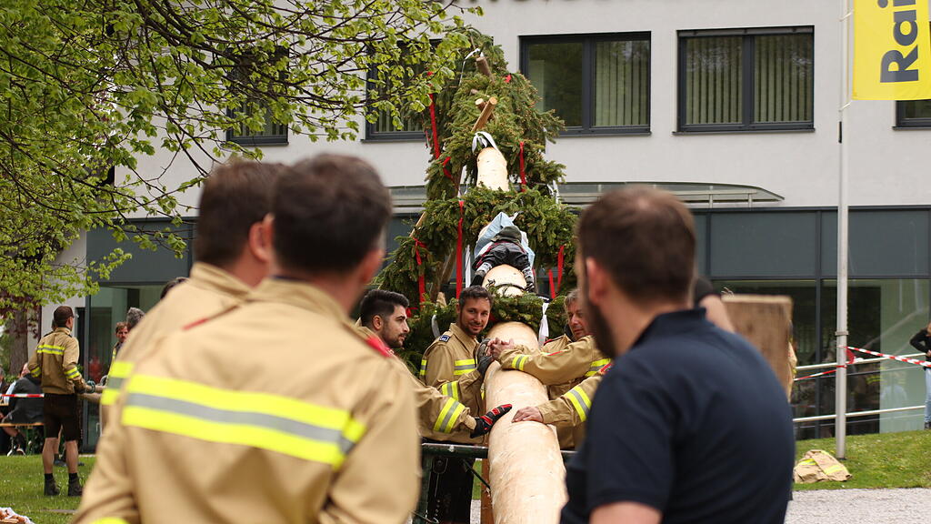 Maibaumaufstellen in Anif