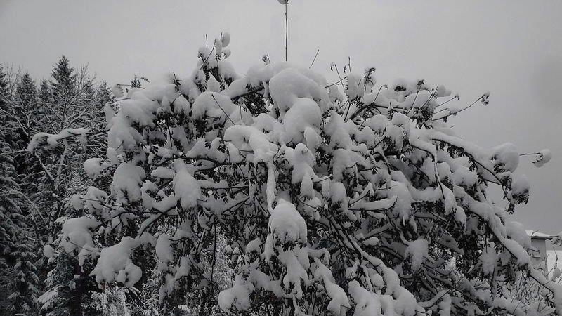 Winter in Ebenau