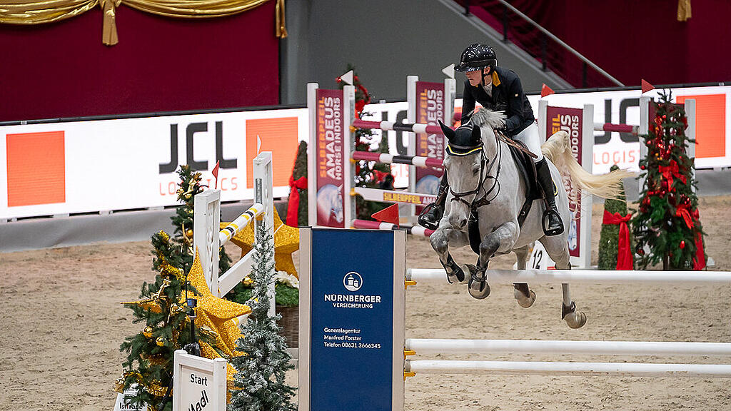 Amadeus Horse Indoors 2023