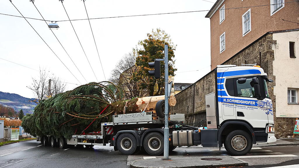 Baum am Christkindlmarkt eingetroffen II