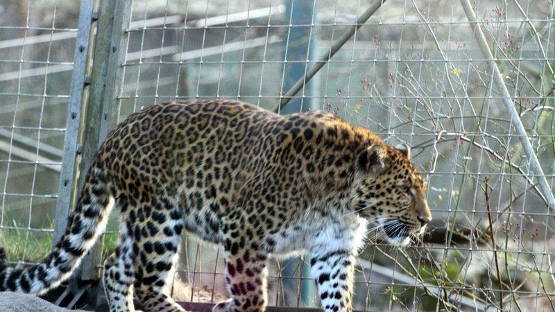 Frühling im Zoo München