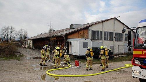 Katze löst Brand aus