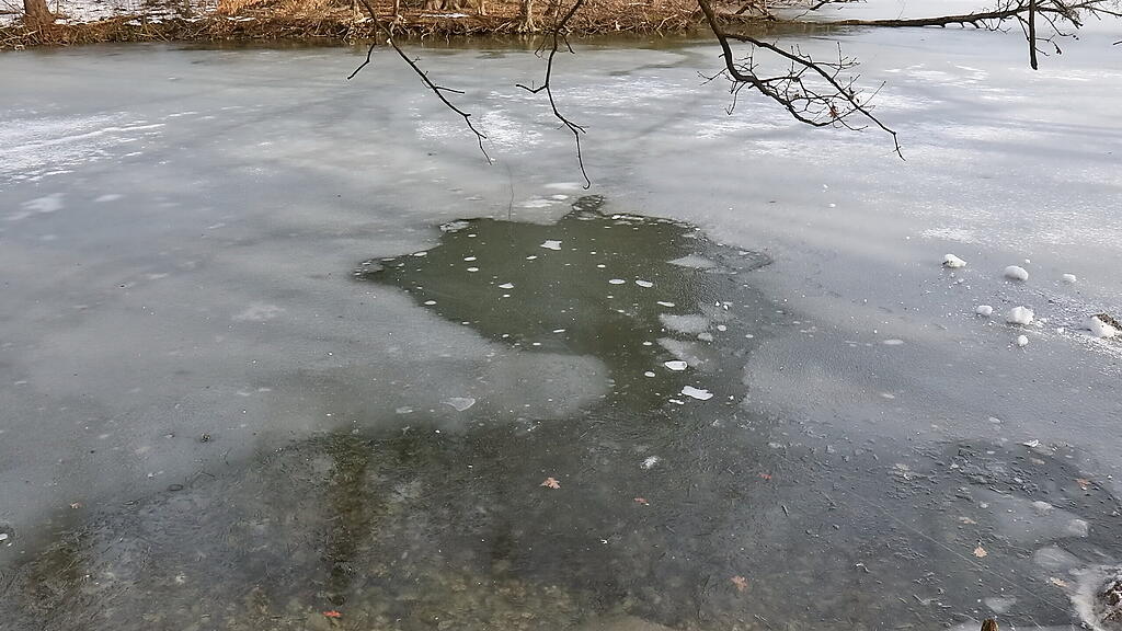 Leopoldskroner Weiher
