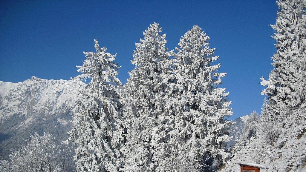 Traumwetter in Bayern