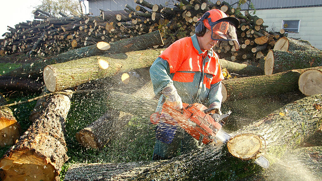 symb_Sägewerk