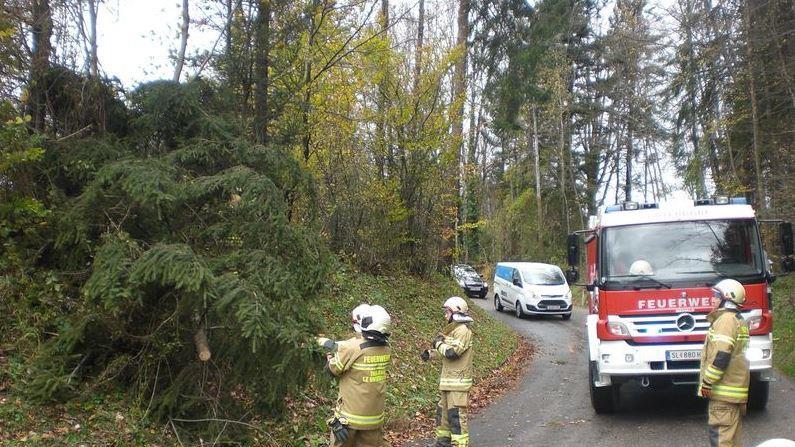 Einsätze in Thalgau