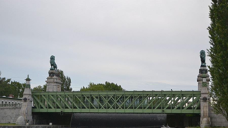 Leserreporter: Hochwasser in Wien-Döbling (Donau bei Nussdorf)