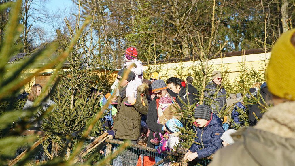 Impressionen der Weihnachtsmärkte