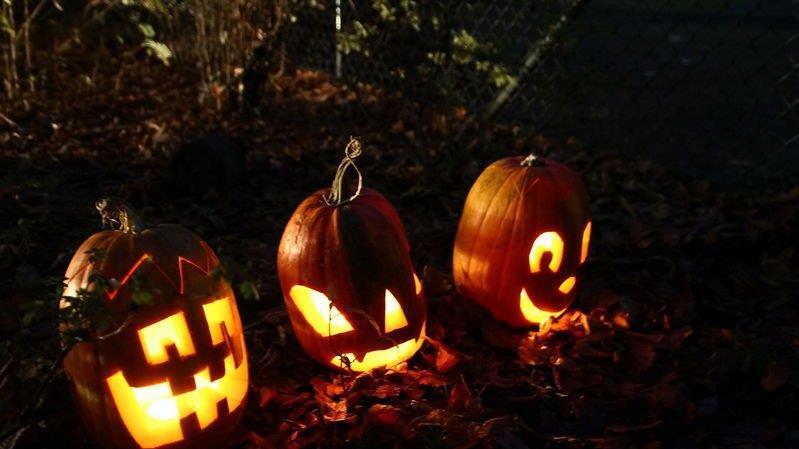 Halloween im Zoo
